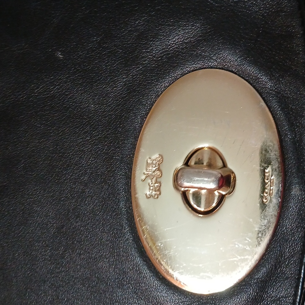 Coach - Picture 2 of 16
